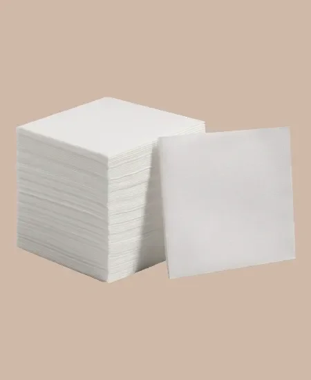 Servilletas Cóctel 24X23 Desechables – Manga con 10 Paquetes de 300 Unidades (3000 Servilletas) para Bares, Eventos, Catering y Fiestas